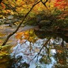 秋の川風景