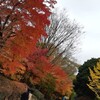 東京散歩　麴町～乾門～靖国神社辺りを歩く