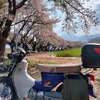 北杜市＃蕪（カブラ）の桜並木