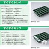 イチゴの育苗におすすめです！「すくすくトレイ」と「すくすくカップ」