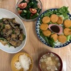 茄子とピーマンと厚揚げの甘味噌炒め