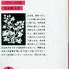 「書けたかもしれない小説」から来るべき書物