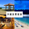 【総額いくら？】夏休み沖縄２泊４日の旅費精算