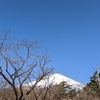 富士山五合目へ通じる道