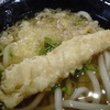 海老天ぷら　讃岐うどん