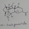 (+)-Ineleganolide の全合成