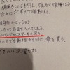 弟のほぼ文無し旅 11日目[沖縄] 〜”考える力”が付いてきたけど、”天然ボケ”が一向に治らない件について〜