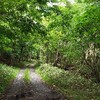 初神林道【岩手県釜石市橋野町】