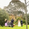 公園での結婚式