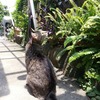 ご褒美的な