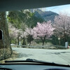 2017年4月20日の三峯神社ドライブ