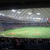 巨人vs埼玉西武のオープン戦