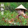 中国の田舎暮らしと料理の動画にハマる。延々と見続けられます。