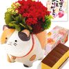 かわいくない？！長崎心泉堂の「まるっと三毛猫」でお母さんへ感謝を #プリザーブドフラワー