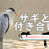 なまじっかお金がある人は気をつけた方がいいと思った詐欺の話
