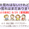 《松江塾》【小３本科8/29】大荒れはないけれど、小荒れはまだあります