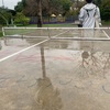 【アルゼンチンの公園】～雨上がりの卓球と宿題と犬の散歩～　＠Parque Chacabuco