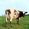 Pink Floyd - Atom Heart Mother：原子心母 -