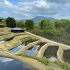 【星野リゾート| 界由布院】新緑の棚田&由布岳を望む絶景温泉宿〜館内紹介編〜