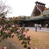 ラジオ体操、西洋ツバキ　/　生活介護は自治会　/　不知火が入荷 