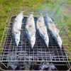 快適な初秋キャンプのススメ