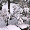 桃の節句