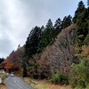 わたしはまだ泣いてしまう