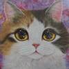 猫のイベントに行って、お弁当買って帰ってきました～♪