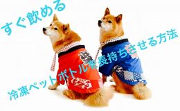 記事を見る