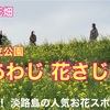 淡路島・四国 道の駅車中泊の旅No.3 あわじ花さじき