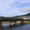JR奈良線　205-1000系