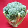 指定野菜