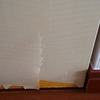 破壊神だいず＆あずき