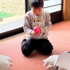 新年度の始まりです❣️