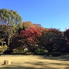 【紅葉】駒込・六義園