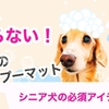 滑らない！愛犬のシャンプーマット