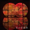 【京都紅葉2023】予約スタート🍁人気の絶景紅葉スポットを紹介します