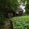 観音寺 ③