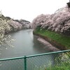 花の命は・・・今年に限って、ながい。