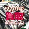 三河湖ワカサギ売ってください❗️《お魚買取サービス始めます！》