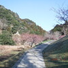 小櫃川土沢↑四郎治沢↓