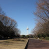 航空公園のロウバイ園