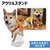 がっちりマンデー　ファン必見！推し活の必需品アクスタ：フジデノロ社の秘密工場を探る