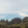 今朝の景色