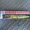 JACKALL / BIGBBCKER WANGAN MINNOW →28S-LB