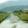 Sat.　山と川のある風景　　百日紅