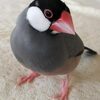 予兆かもしれなくとも目を瞑る