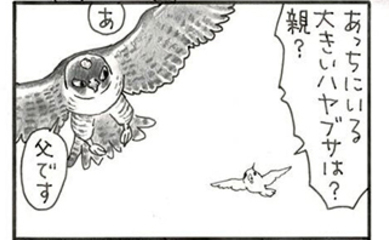 夜廻り猫【第一〇五九話】恋する小鳥⑪