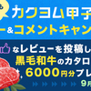 【9/11締切】高校生以外も参加可能！「カクヨム甲子園2024」レビュー&コメントキャンペーン