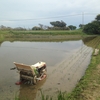 先日、田植えがひと段落・・。